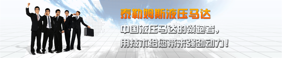 YLM6系列 1000~2000牛米 低速大扭矩液压马达